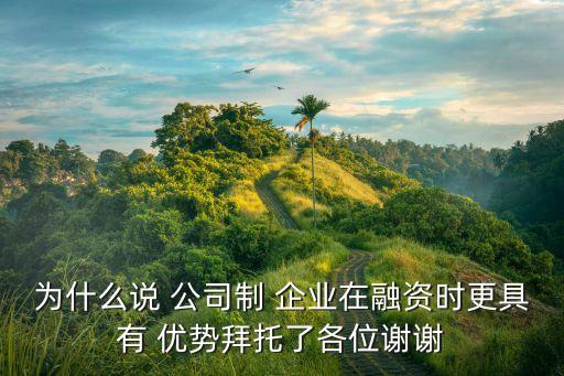 為什么說(shuō) 公司制 企業(yè)在融資時(shí)更具有 優(yōu)勢(shì)拜托了各位謝謝