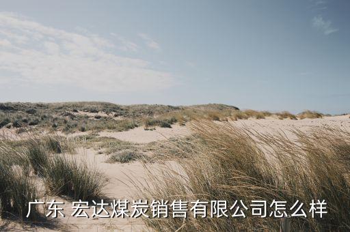 廣東 宏達煤炭銷售有限公司怎么樣