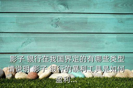  影子 銀行在我國(guó)界定的有哪些類型請(qǐng)說(shuō)明 影子 銀行的暴利工具是如何盈利...
