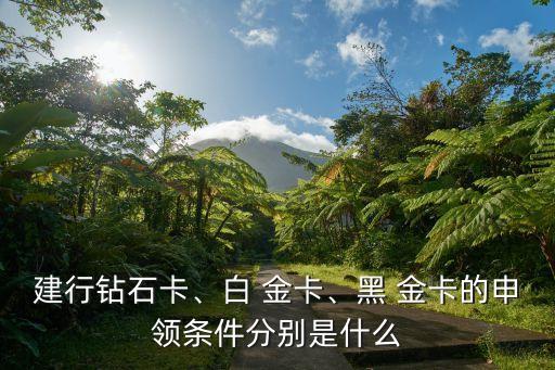 建行鉆石卡、白 金卡、黑 金卡的申領(lǐng)條件分別是什么