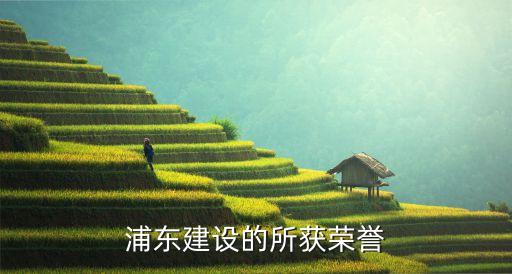 浦東建設(shè)的所獲榮譽