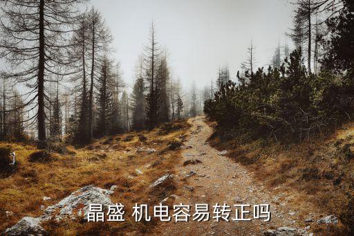  晶盛 機電容易轉正嗎