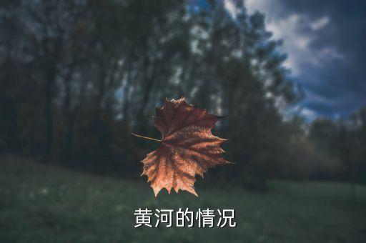 包頭市黃河水源供水有限公司,太原黃河供水有限公司是國(guó)企還是私企