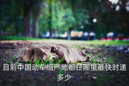 目前中國動車組產地都在哪里最快時速多少