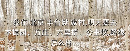 我在 北京 豐臺(tái)樊 家村,明天要去木樨園、方莊、六里橋、公主墳,路線怎么樣...