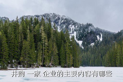 并購 一家 企業(yè)的主要內容有哪些