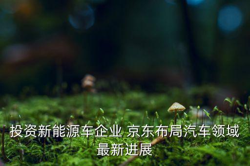 京東公司的專利,京東物流專利數量