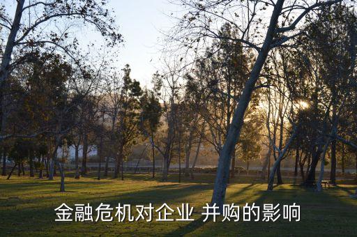 金融危機對企業(yè) 并購的影響