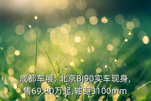 北京簡(jiǎn)式汽車,簡(jiǎn)式汽車設(shè)計(jì)現(xiàn)狀