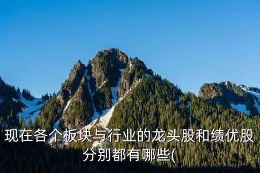 現(xiàn)在各個(gè)板塊與行業(yè)的龍頭股和績(jī)優(yōu)股分別都有哪些(