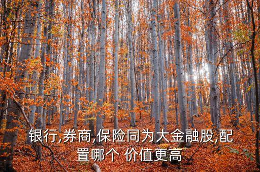  銀行,券商,保險同為大金融股,配置哪個 價值更高