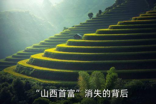 金鵬輝人民銀行辦公廳,人民銀行上?？偛拷瘗i飛簡介