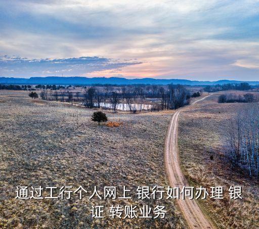 通過(guò)工行個(gè)人網(wǎng)上 銀行如何辦理 銀證 轉(zhuǎn)賬業(yè)務(wù)
