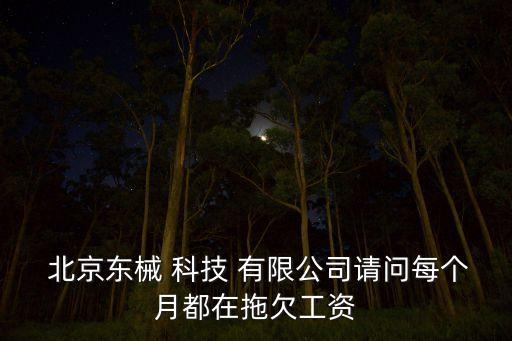  北京東械 科技 有限公司請(qǐng)問每個(gè)月都在拖欠工資