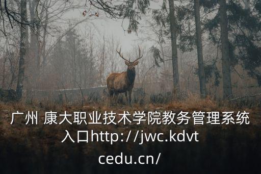 廣州 康大職業(yè)技術學院教務管理系統入口http://jwc.kdvtcedu.cn/