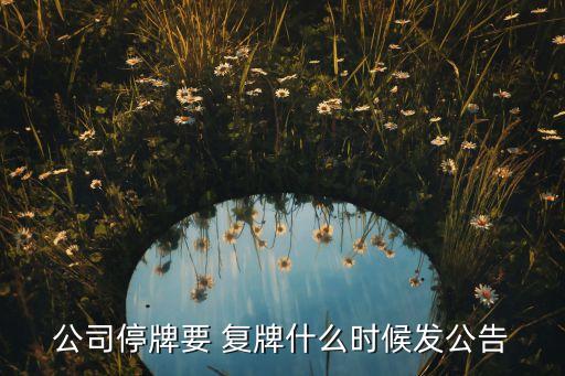 公司停牌要 復(fù)牌什么時候發(fā)公告