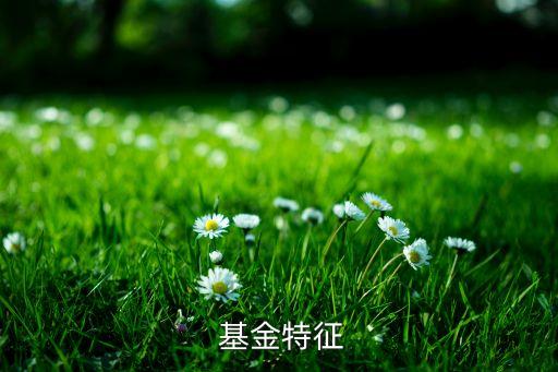 基金的特點是,下列屬于私募股權(quán)投資基金的特點是