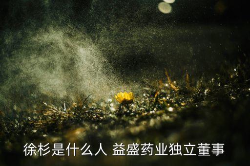 徐杉是什么人 益盛藥業(yè)獨(dú)立董事