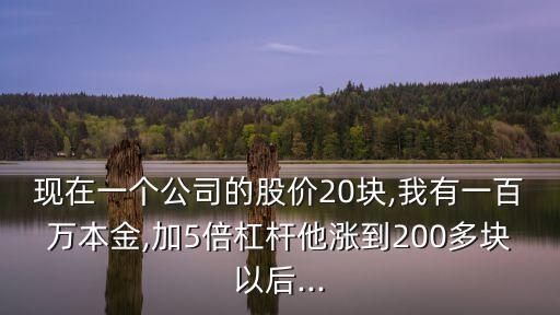 現(xiàn)在一個(gè)公司的股價(jià)20塊,我有一百萬本金,加5倍杠桿他漲到200多塊以后...