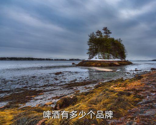 重慶中安商標事務所有限公司