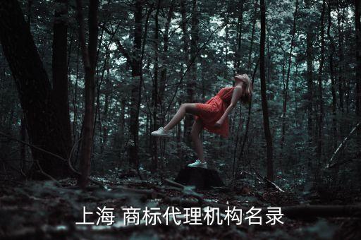 上海 商標(biāo)代理機構(gòu)名錄