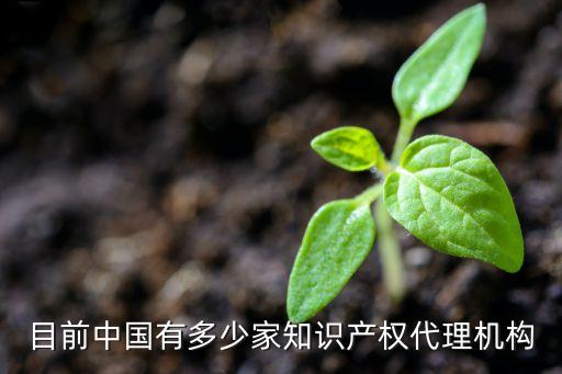 目前中國有多少家知識產(chǎn)權(quán)代理機構(gòu)