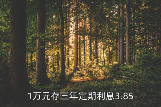 1萬(wàn)元存三年定期利息3.85
