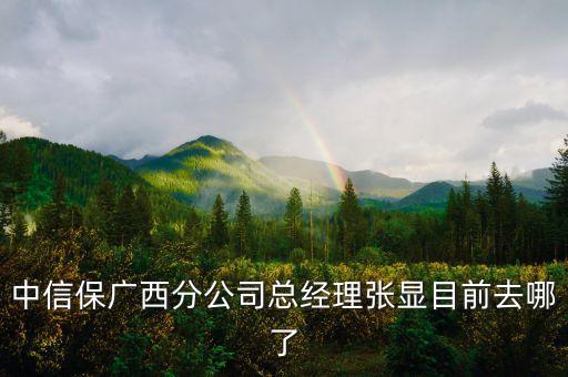 中信保廣西分公司總經(jīng)理張顯目前去哪了
