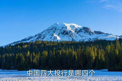 中國的金融中介機(jī)構(gòu),中國金融中介機(jī)構(gòu)體系具體有哪幾家公司