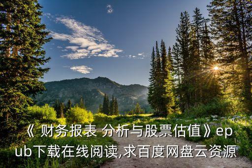 上海家化財務分析2012