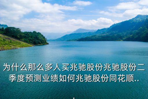 為什么那么多人買(mǎi)兆馳股份兆馳股份二季度預(yù)測(cè)業(yè)績(jī)?nèi)绾握遵Y股份同花順...