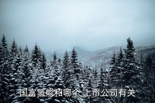 海水淡化上市公司龍頭企業(yè),國內海水淡化十大公司