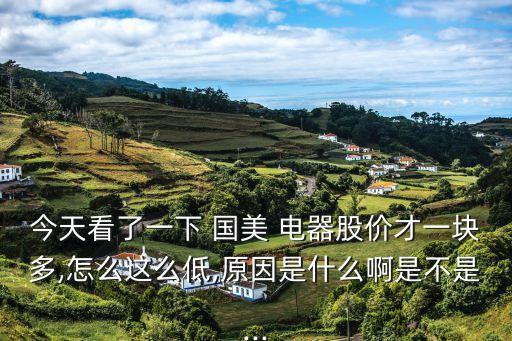 今天看了一下 國(guó)美 電器股價(jià)才一塊多,怎么這么低,原因是什么啊是不是...