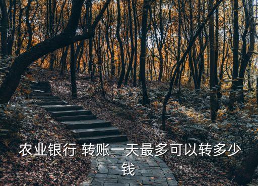 農業(yè)銀行轉賬額度,怎么查詢農業(yè)銀行轉賬額度