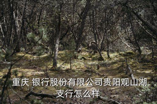  重慶 銀行股份有限公司貴陽(yáng)觀山湖支行怎么樣