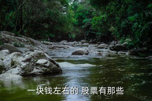 一塊錢左右的 股票有那些