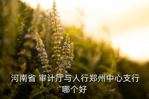  河南省 審計(jì)廳與人行鄭州中心支行哪個好