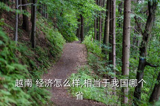  越南 經濟怎么樣,相當于我國哪個省