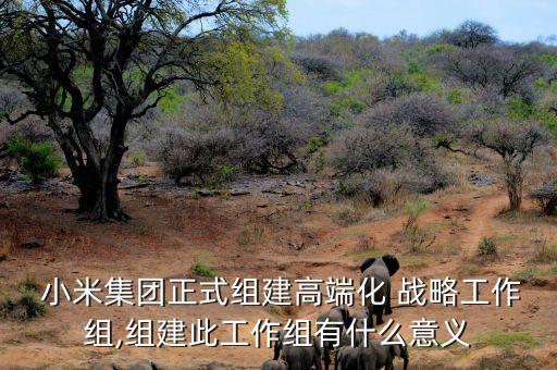 小米公司企業(yè)戰(zhàn)略關(guān)系,小米和華為企業(yè)戰(zhàn)略的異同