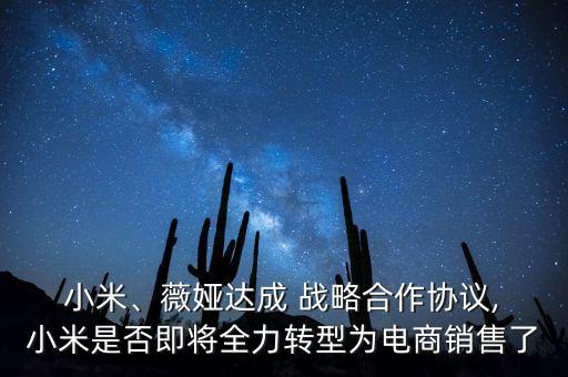  小米、薇婭達成 戰(zhàn)略合作協(xié)議, 小米是否即將全力轉型為電商銷售了