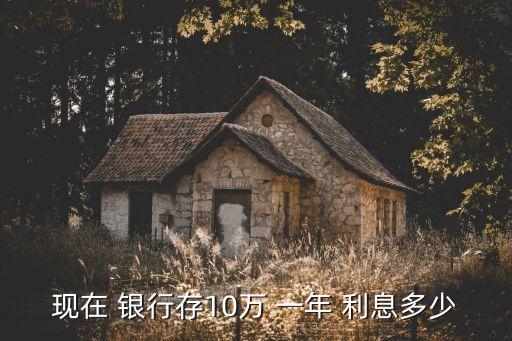 現(xiàn)在 銀行存10萬(wàn) 一年 利息多少
