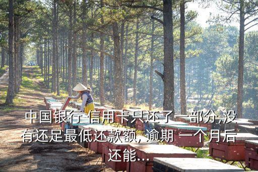 中國(guó)銀行信用卡逾期一個(gè)月