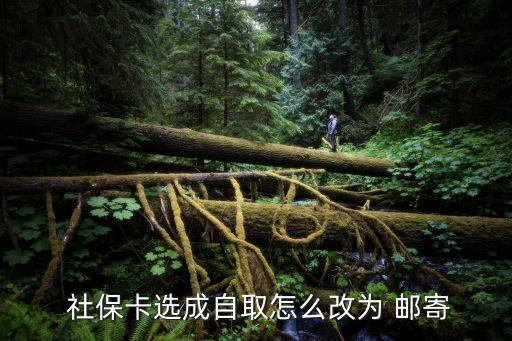  社?？ㄟx成自取怎么改為 郵寄
