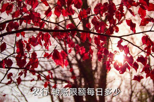 農(nóng)行 轉賬限額每日多少