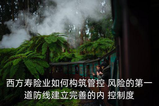 西方壽險業(yè)如何構筑管控 風險的第一道防線建立完善的內 控制度
