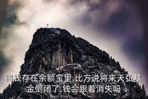 將錢存在余額寶里,比方說(shuō)將來(lái)天弘基金倒閉了.錢會(huì)跟著消失嗎