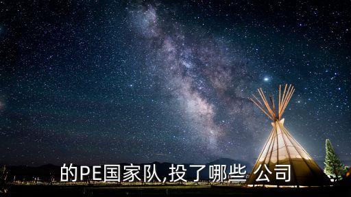 的PE國家隊(duì),投了哪些 公司