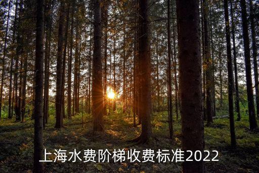 上海水費階梯收費標(biāo)準(zhǔn)2022