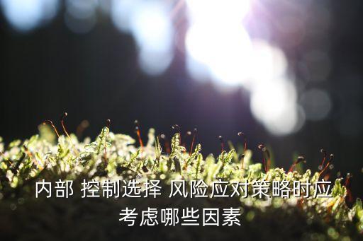  內部 控制選擇 風險應對策略時應考慮哪些因素
