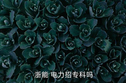 浙江浙能電力股份有限公司待遇